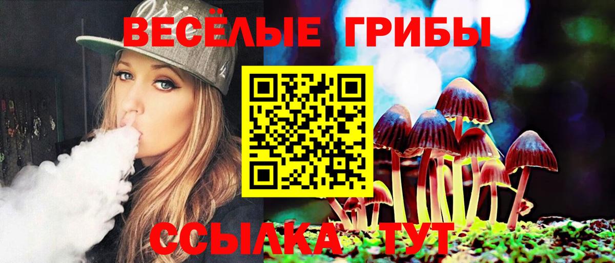Галлюциногенные грибы MAGIC MUSHROOMS Малгобек